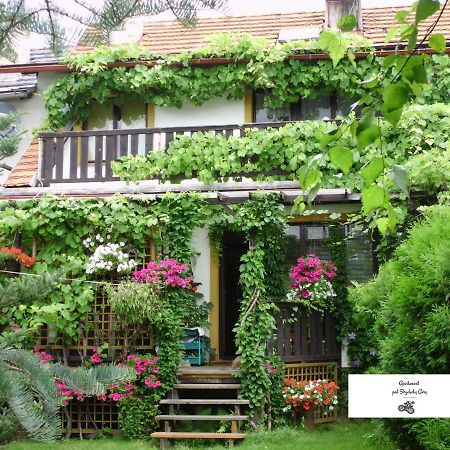 Apartament Pod Strzelecka Gora Jelenia Góra Buitenkant foto